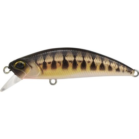 CCCZ431 UV MINNOW (UF)
