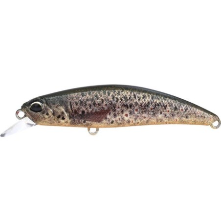 CCCZ442 TRUCHA MARRÓN OB UV (UF)