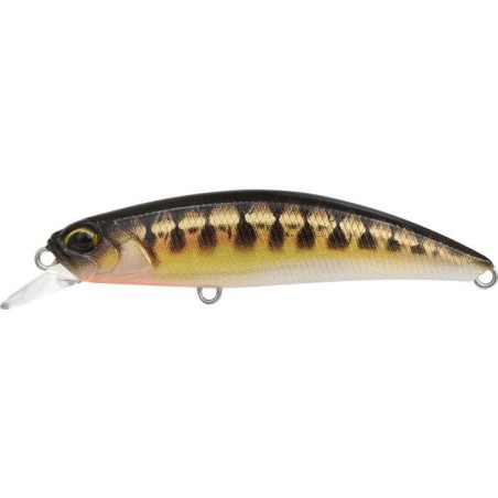 CCCZ431 UV MINNOW (UF)