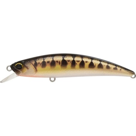 CCCZ431 UV MINNOW (UF)