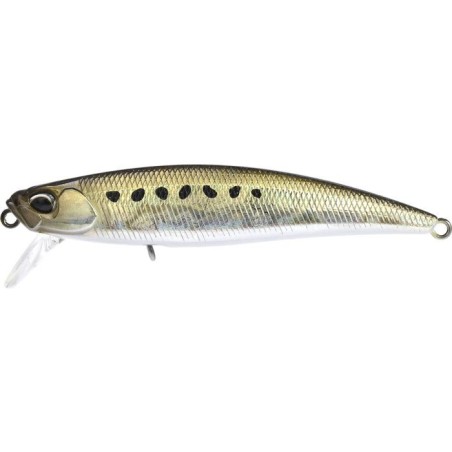 ADA0037 SARDINA NEGRA