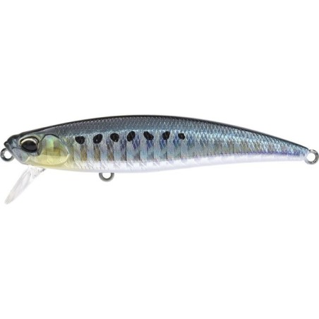 AHA0011 SARDINA