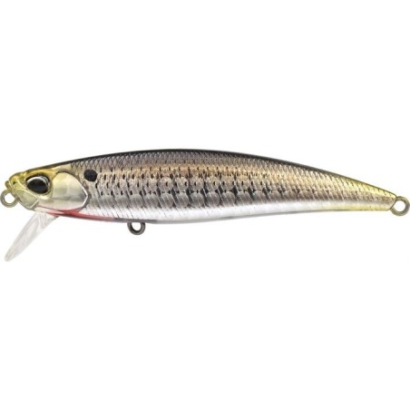 CBA0157 WAKA MULLET