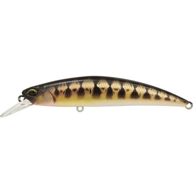 CCCZ431 UV MINNOW (UF)