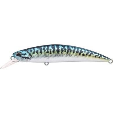 CPAZ445 BLUE MACKEREL (UF)