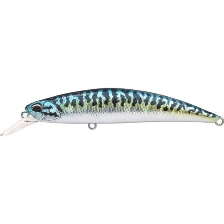 CPAZ445 BLUE MACKEREL (UF)
