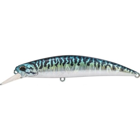 CPAZ445 BLUE MACKEREL (UF)