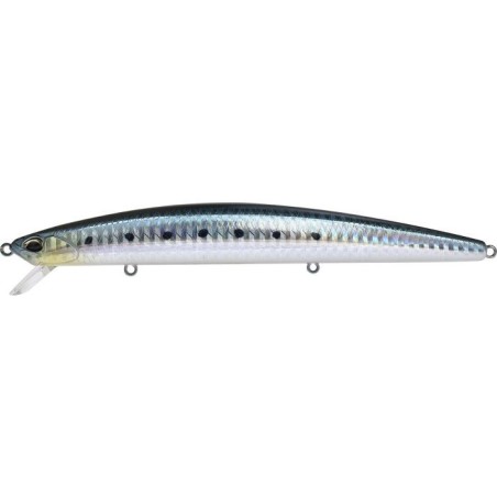 AHA0011 SARDINA