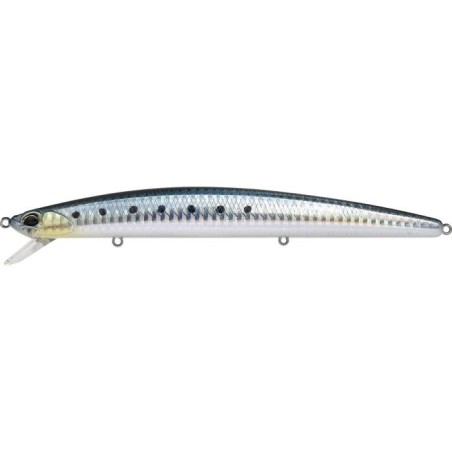 AHA0011 SARDINA