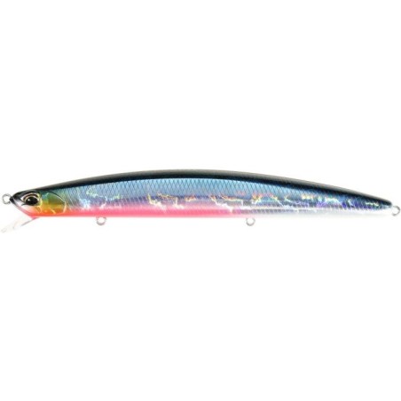 ADA0724 SHAKOTAN SARDINA RB