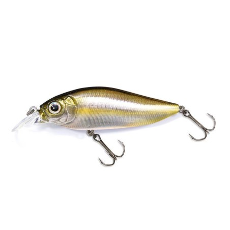 FA STRIPED SHINER