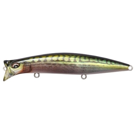 FA GREEN MACKEREL