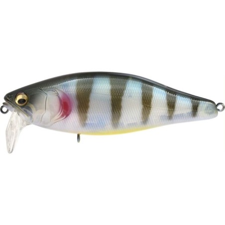GREEN PERCH (SP-C)