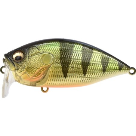 GG Perch [Kiss]