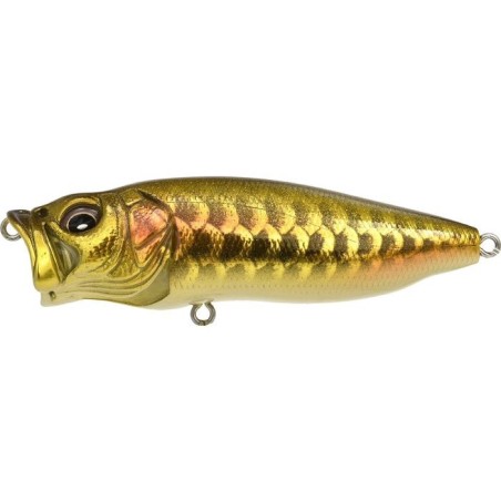 DRAGON FISH G (SP-C)