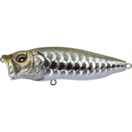 DRAGON FISH S (SP-C)