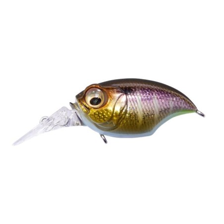 DD GILL