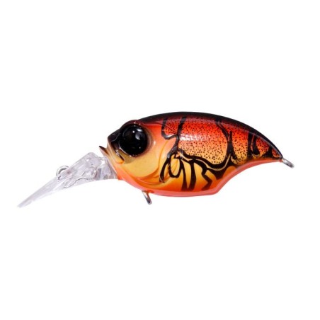 WILD CRAW