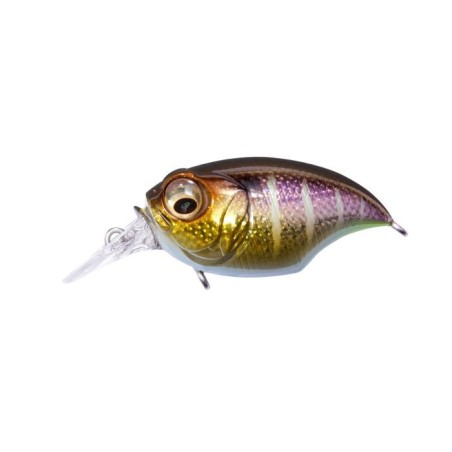 DD GILL