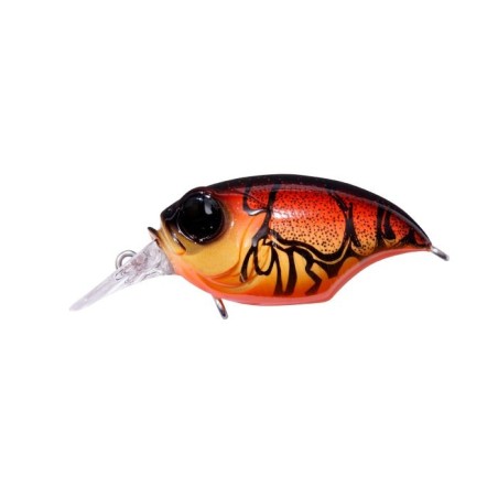 WILD CRAW