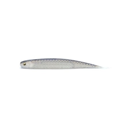 FS 104 LIVE FISH
