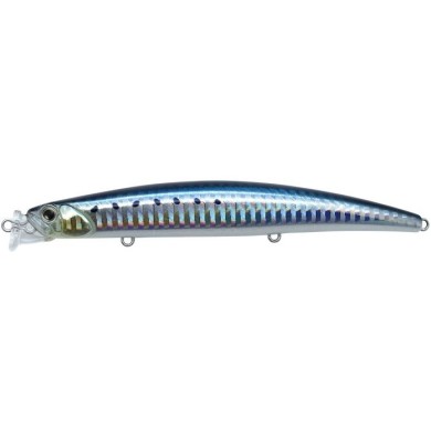 AHA0011 SARDINE