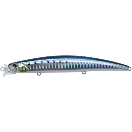 AHA0011 SARDINE