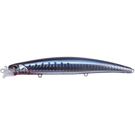 GFN0094 CHIGOMORI SARDINE