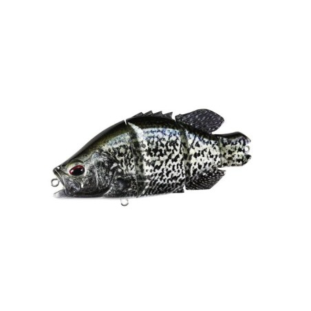 ACC3533 BLACK CRAPPIE