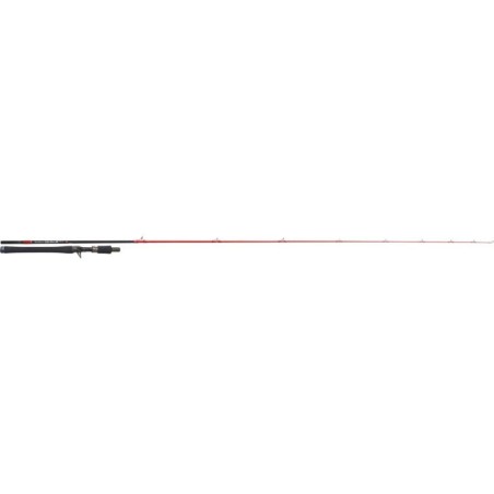 Tenryu Injection BC 76 H