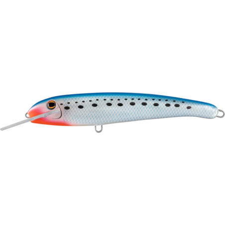 H50 Pilchard
