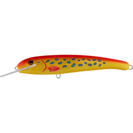 R9 Coral Trout