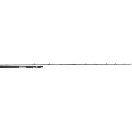 BC85XXH MEGA PIKE - 259cm - 120-350g - 2 sections