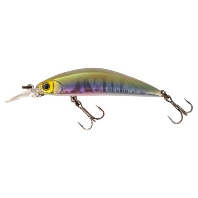 Aurora Baitfish