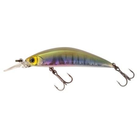Aurora Baitfish