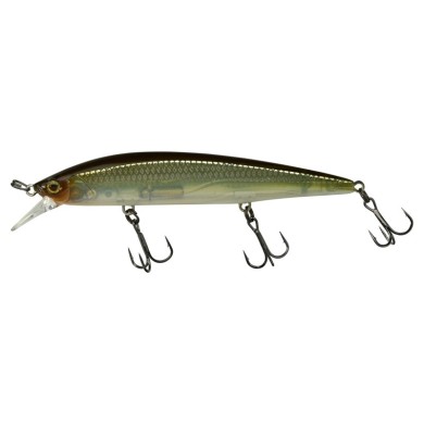 HS GHOST MINNOW