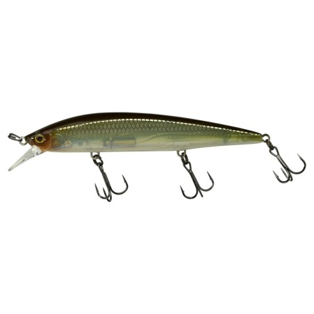 HS GHOST MINNOW