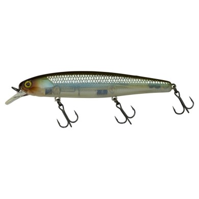 HS GHOST MINNOW