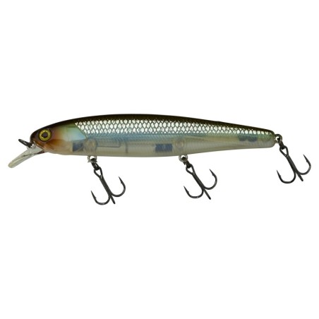 HS GHOST MINNOW