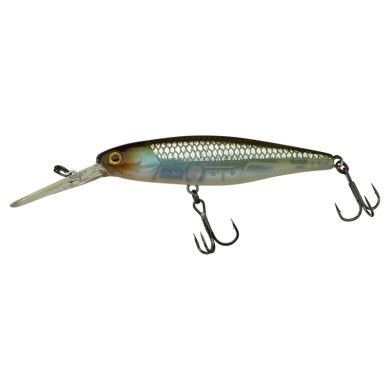 HS GHOST MINNOW