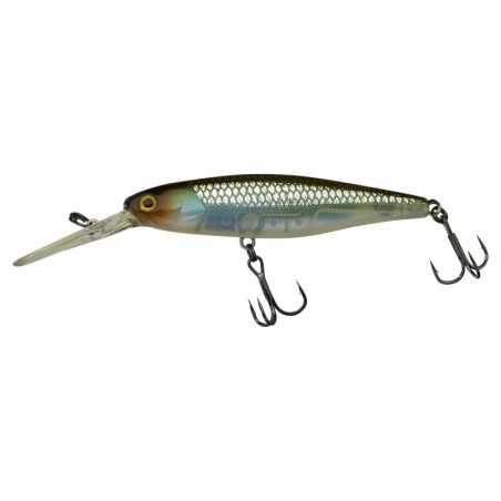 HS GHOST MINNOW