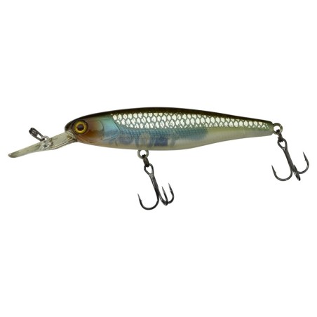 HS GHOST MINNOW