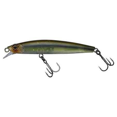 Ghost Minnow