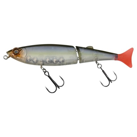 Ghost Minnow