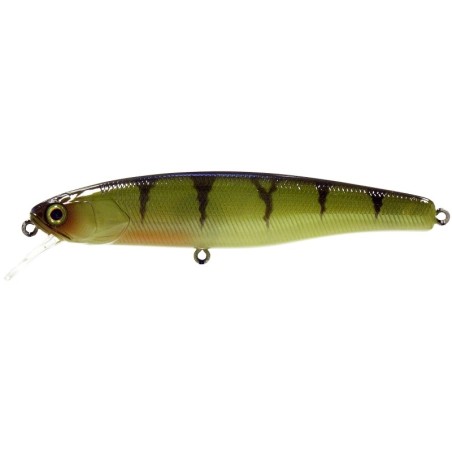 Perca
