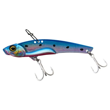HS SARDINE