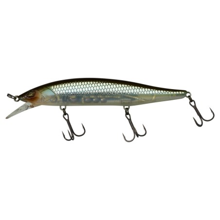 HS GHOST MINNOW