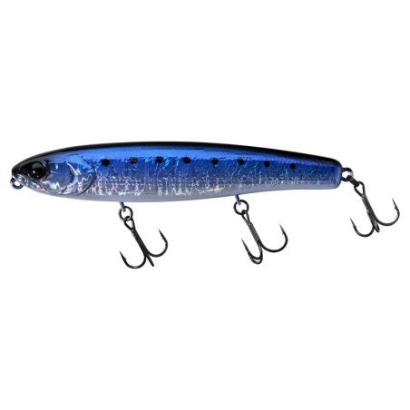 OILY SARDINE