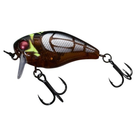 CICADA