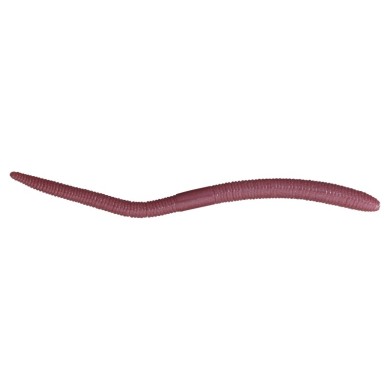 LIGHT EARTHWORM